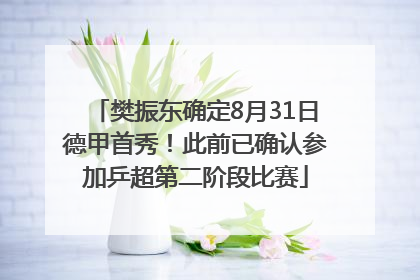樊振东确定8月31日德甲首秀！此前已确认参加乒超第二阶段比赛